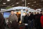 Messe Stamminger