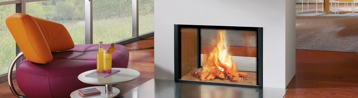 Heizkamin Arte X-FDh Holzheizherd Holzkamin Holzherd